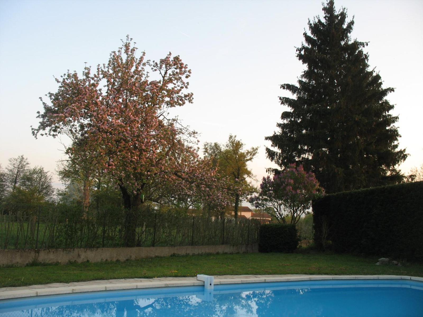 Apartament La Ferme Du Nizon Valeille Zewnętrze zdjęcie