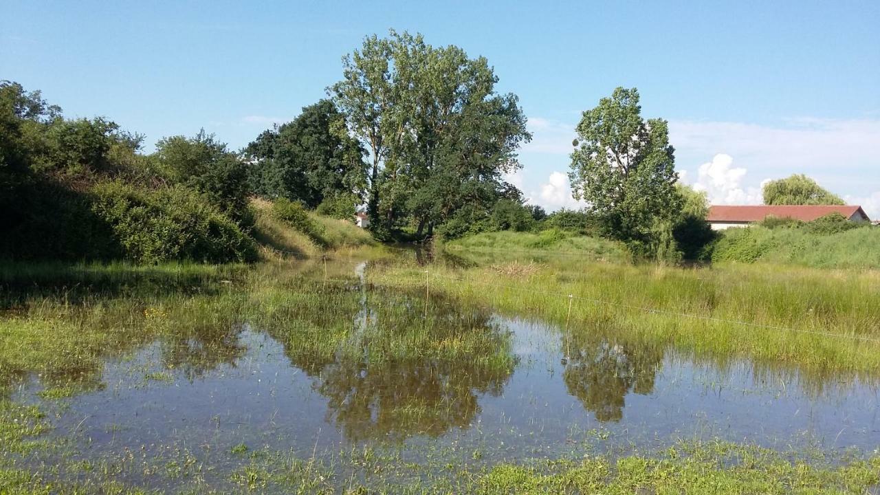 Apartament La Ferme Du Nizon Valeille Zewnętrze zdjęcie